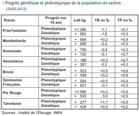 Progrès génétique des races de vaches laitières