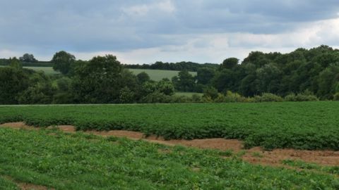 Quand les flots emporteront l’agriculture britannique
