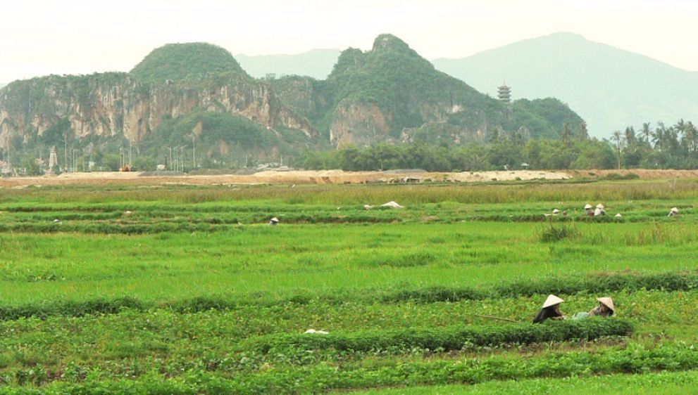 La Chine privilégie le maïs aux dépens du soja et du blé