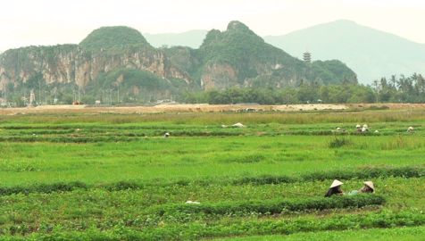 La Chine privilégie le maïs aux dépens du soja et du blé