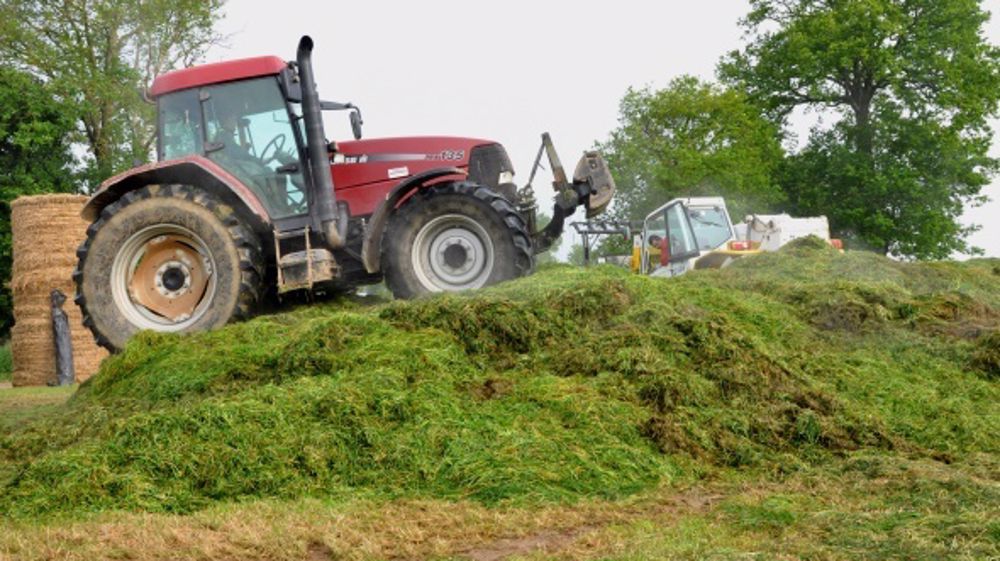 Les inoculants microbiologiques limitent la dégradation des protéines de l’herbe