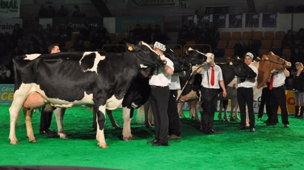 Retrouvez tous les palmarès avec photos et vidéos des concours