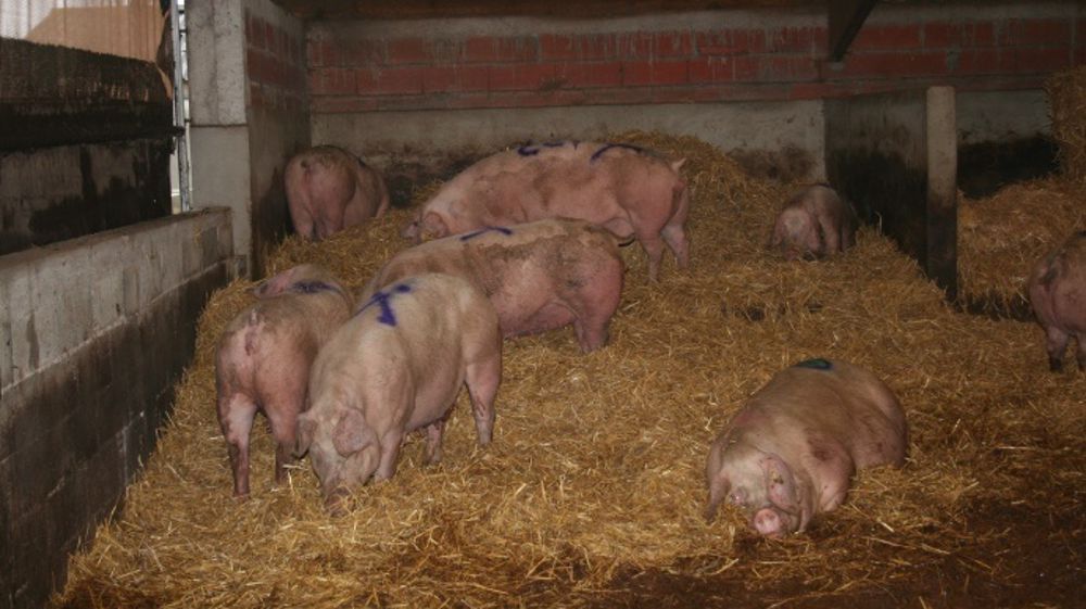 La Chine ouvre ses portes à la charcuterie française