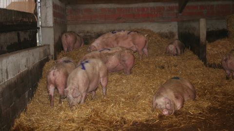La Chine ouvre ses portes à la charcuterie française La Chine ouvre ses portes à la charcuterie française