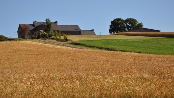 Contrôle des structures
