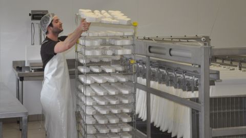 La tomme de lait de vache était « une bombe bactériologique »
