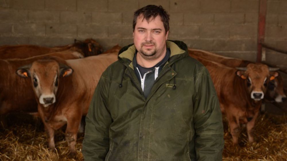 Le coût de la ration des jeunes bovins de Christophe Mathiaud est descendu à 165 €/tonne brute. (©Terre-net Média)