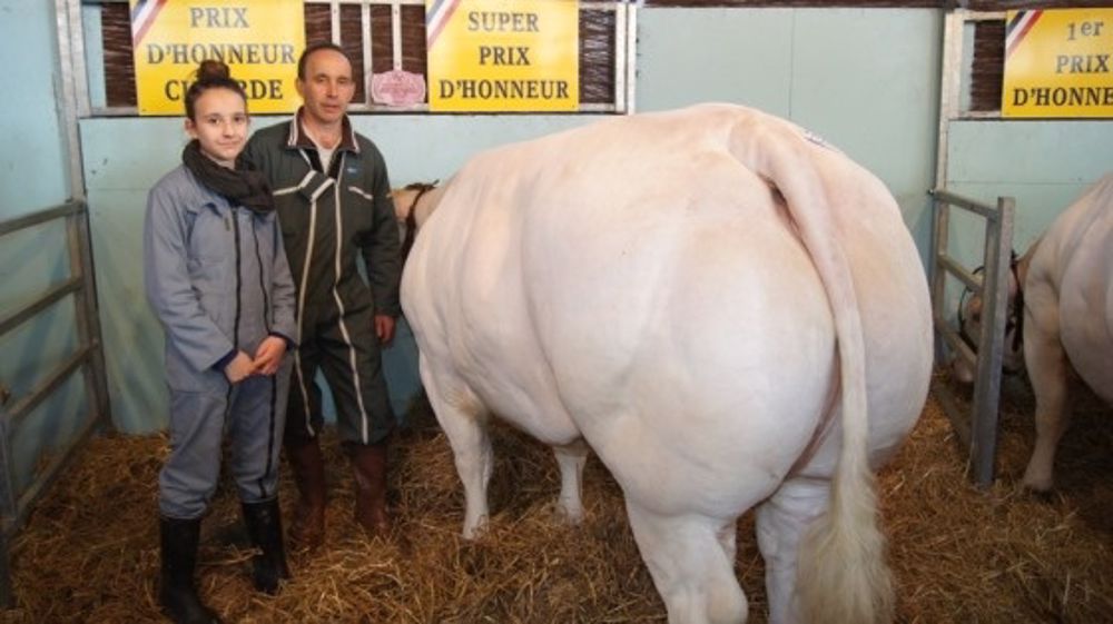 A Varennes-sur-Allier - « De la qualité, rien que de la qualité »
