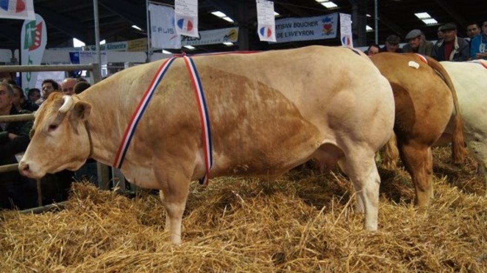 A Baraqueville - « Une qualité hors norme et des enchères de folie » A Baraqueville - « Une qualité hors norme et des enchères de folie »