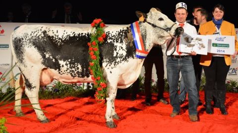 Caramel la meusienne devance ses concurrentes vosgiennes à Epinal