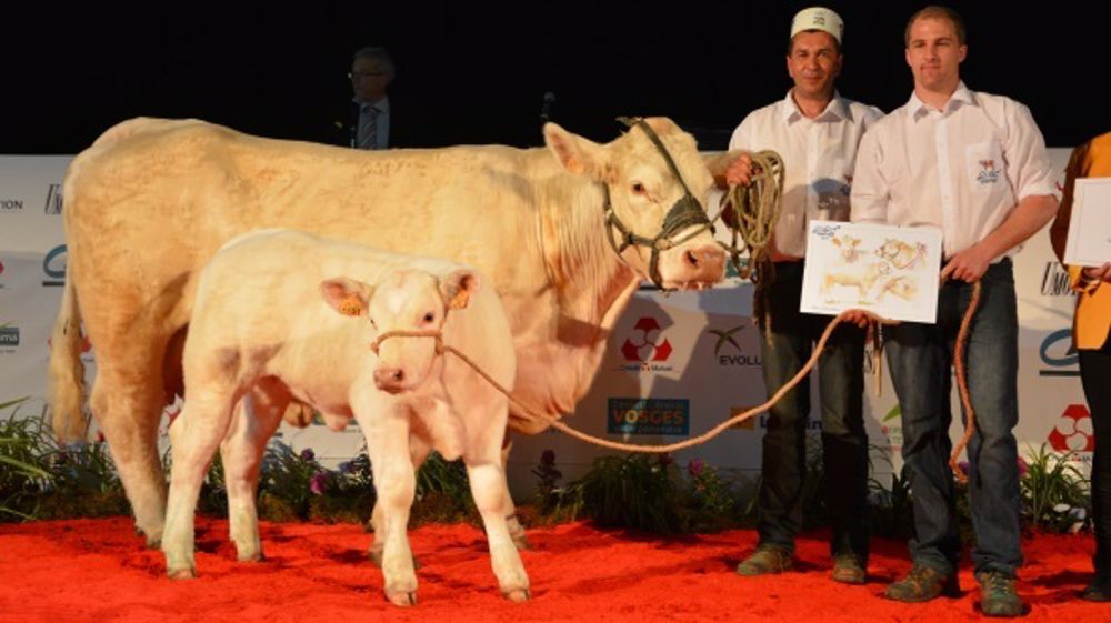 Palmarès du concours Charolais