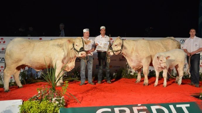 championnat charolaise Eurogénétique 2014