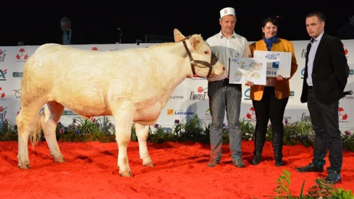 Helice championne des génisses de 15 mois