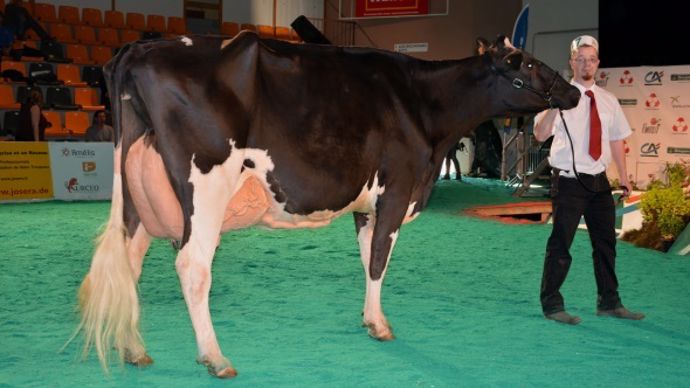 All-Black (Duplex x Derry)