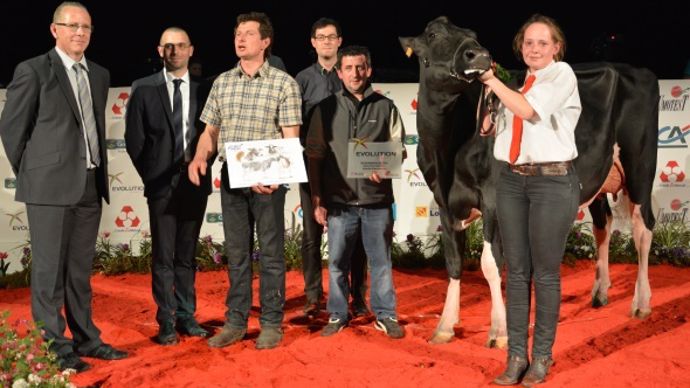 Pour la plus grande joie du Gaec du Tombuy, le juge Allain Hogge a choisi la jeune Goldblack pour grande Championne d'Eurogénétique et du Challenge France.