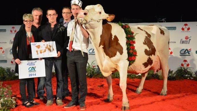 Alowen (Micmac x Electro) au Gaec du Fleuret (70)