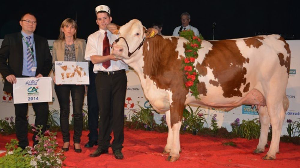 Palmarès, photos et vidéos du concours Montbéliard