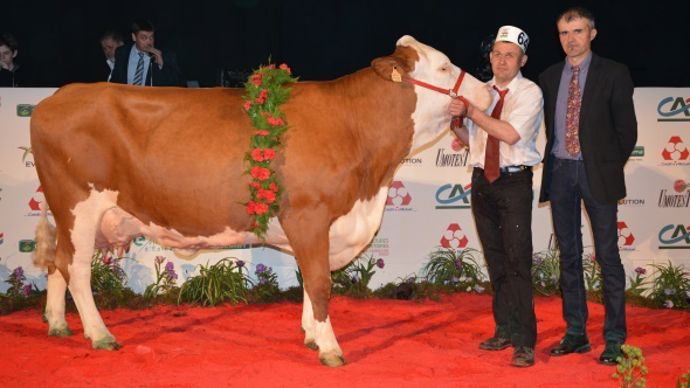 Cadillac (Riesling x Lys), championne adulte