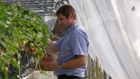 Le contrat de professionnalisation