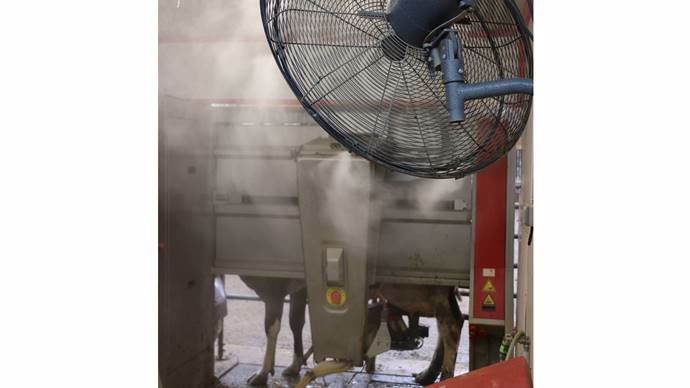 Au niveau du robot, le brumisateur permet d'éloigner les mouches et diminuer ainsi les coups de pattes sur la griffe.