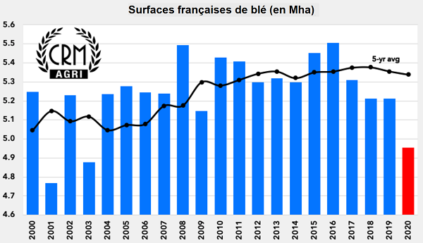 Évolution des surfaces de blé en France