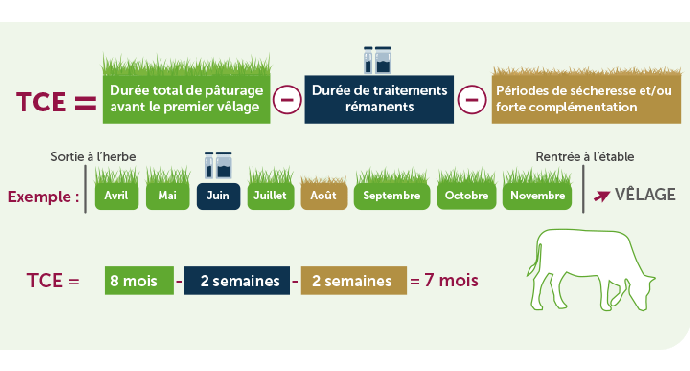 Calculer le temps de contact effectif chez les bovins