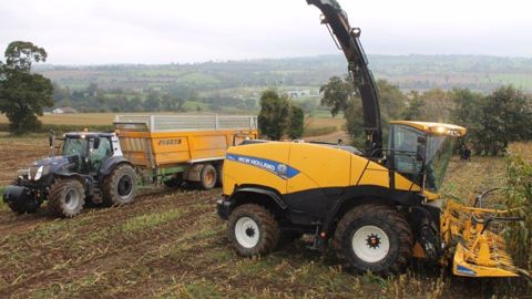 Vidéo ensilage : les ensileuses New Holland FR en démonstration Vidéo ensilage : les ensileuses New Holland FR en démonstration