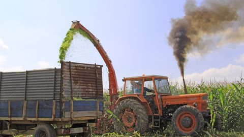 Fête de l'ensilage à l'ancienne Fête de l'ensilage à l'ancienne