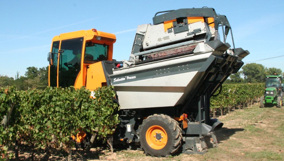 Pellenc s'installe en Afrique du Sud