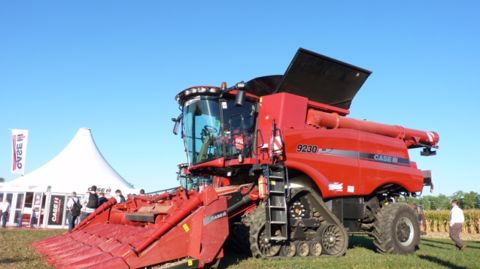 Les chenilles prolifèrent Les chenilles prolifèrent