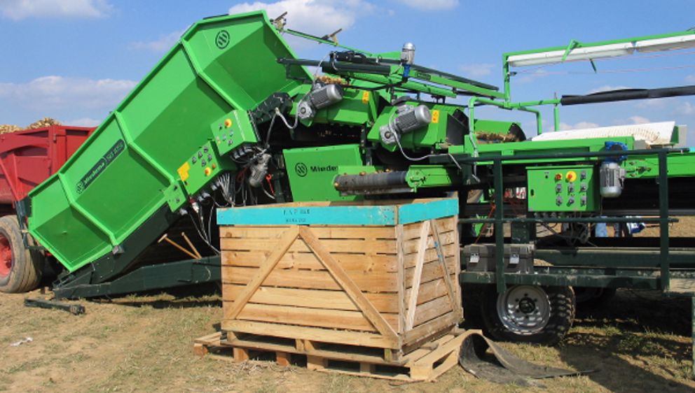 Dewulf reprend Miedema