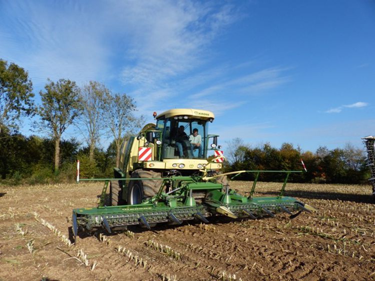 Vidéo ensilage : l'ensileuse Krone Big X 600 en démonstration