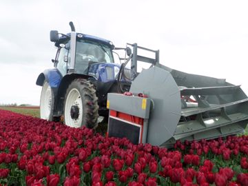 Les pneus étroits d'Alliance validés dans les champs de tulipes Les pneus étroits d'Alliance validés dans les champs de tulipes