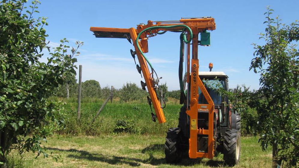 Coup'Eco dans les champs de canne