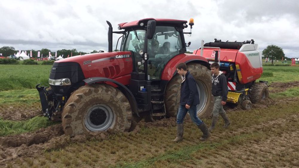 Les insolites du salon de l'herbe 2016