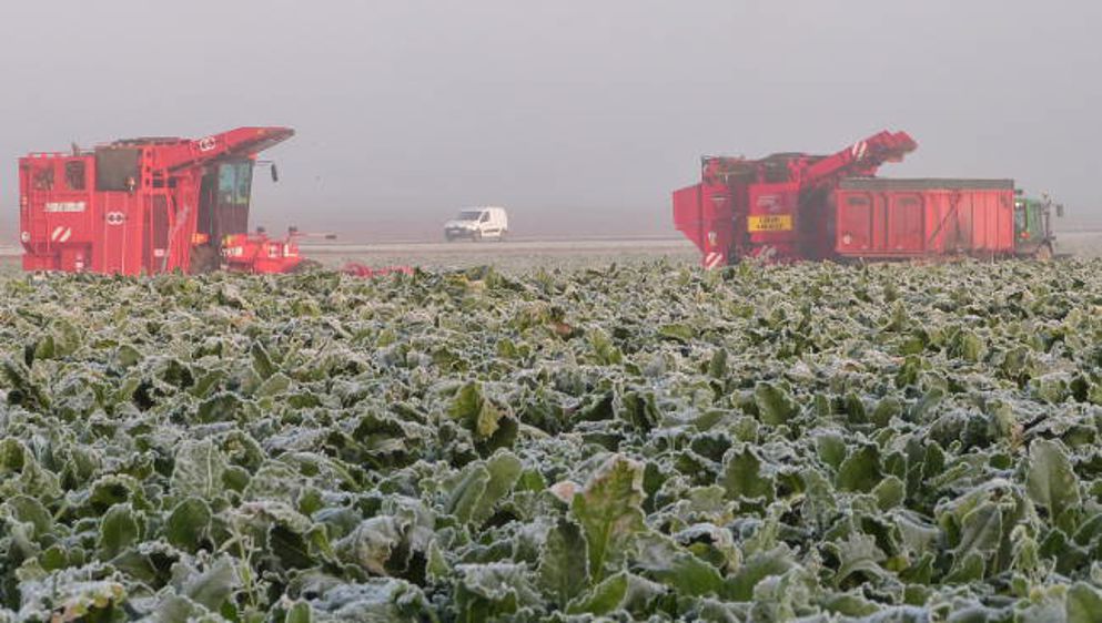 Recul de l'emploi dans les entreprises de travaux agricoles