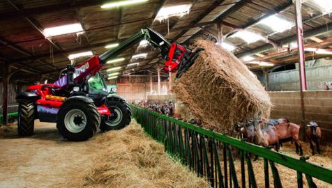 Manitou poussé par la construction Manitou poussé par la construction