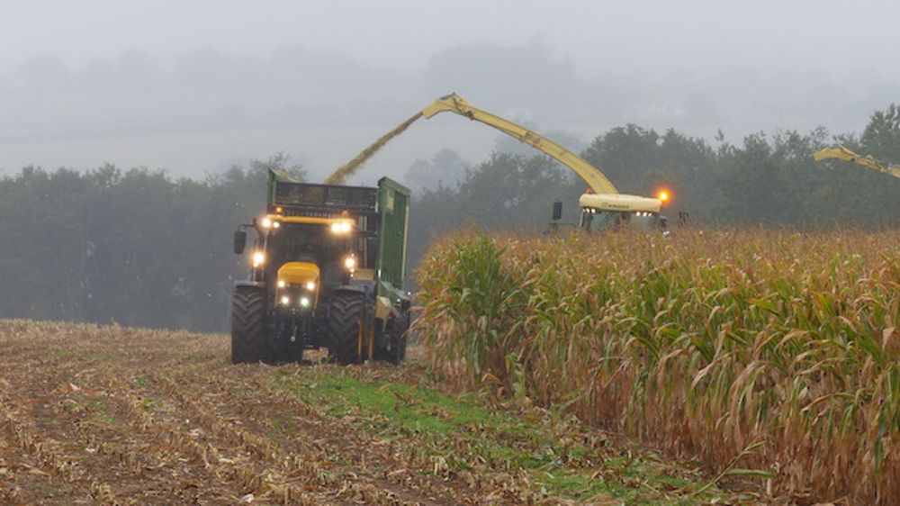 Krone : le maïs haché en brins de 5 à 30 mm Krone : le maïs haché en brins de 5 à 30 mm