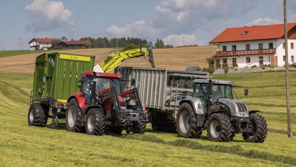 Fliegl Büffel : une alternative pour la récolte de l'herbe Fliegl Büffel : une alternative pour la récolte de l'herbe