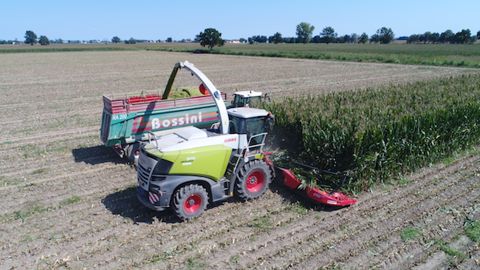 Un bec 12 rangs coiffe la gamme Kemper Un bec 12 rangs coiffe la gamme Kemper