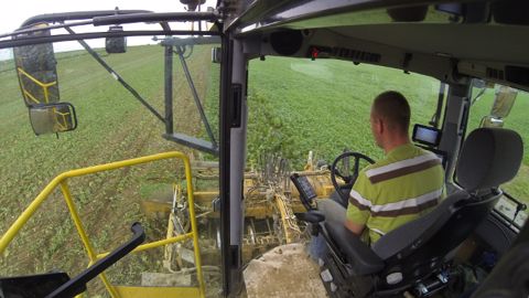 Légère amélioration de l'emploi dans les ETA