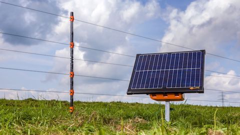 Un électrificateur solaire Gallagher plus puissant Un électrificateur solaire Gallagher plus puissant