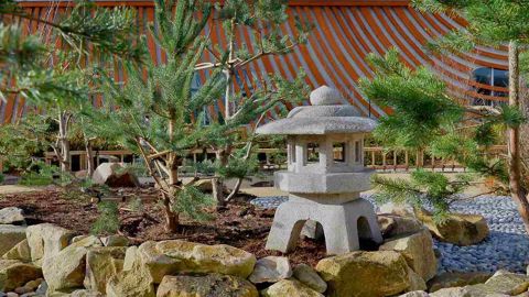 Un jardin japonais dans l'éco-quartier d'Issy-les-Moulineaux Un jardin japonais dans l'éco-quartier d'Issy-les-Moulineaux