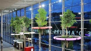 Gare d'Angers Saint-Laud : une forêt en apesanteur