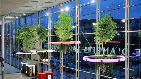 Gare d'Angers Saint-Laud : une forêt en apesanteur Gare d'Angers Saint-Laud : une forêt en apesanteur