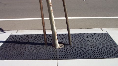 Une grille d'arbre légère, robuste et économique Une grille d'arbre légère, robuste et économique