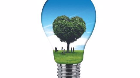 Salonvert 2016 : L'innovation tient son palmarès Salonvert 2016 : L'innovation tient son palmarès