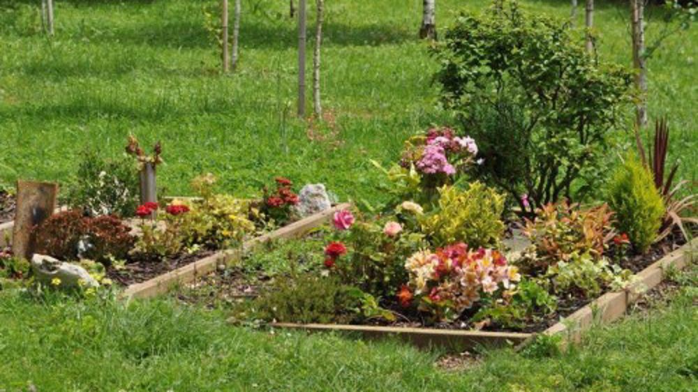 Un guide pour des obsèques responsables de l'environnement