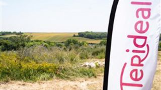 Le groupe Segex devient Terideal