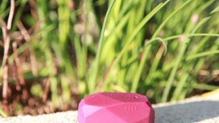 Gaarden Control : un outil de diagnostic connecté pour les plantes